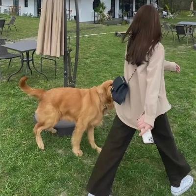 且试天下